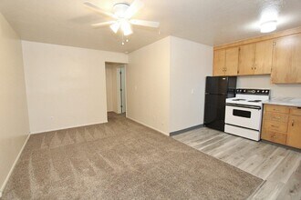 419 NE 3rd St in Meridian, ID - Building Photo - Building Photo