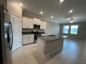 31864 Blue Passing Loop in Wesley Chapel, FL - Building Photo - Building Photo