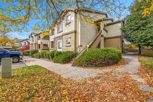 3847 Riviera Grove in Colorado Springs, CO - Building Photo