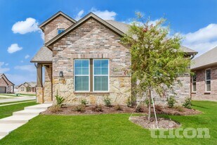 2552 Finch Holw Dr in McKinney, TX - Building Photo