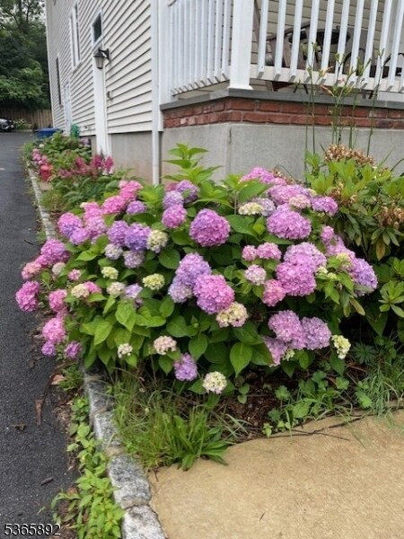 59 James St in Montclair, NJ - Building Photo - Building Photo