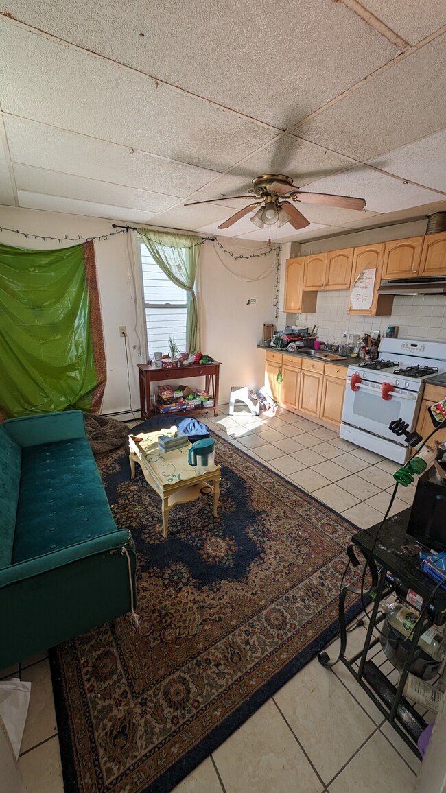 52 Fisher Ave, Unit 3