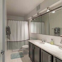 850 N Dewitt Pl, Unit 1604 in Chicago, IL - Building Photo
