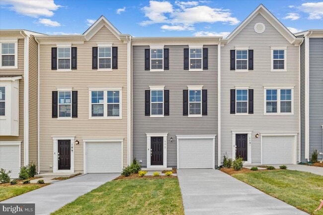 113 Tye Ct in Winchester, VA - Building Photo - Building Photo