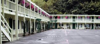 Forest View Apartments in Bonney Lake, WA - Building Photo - Building Photo