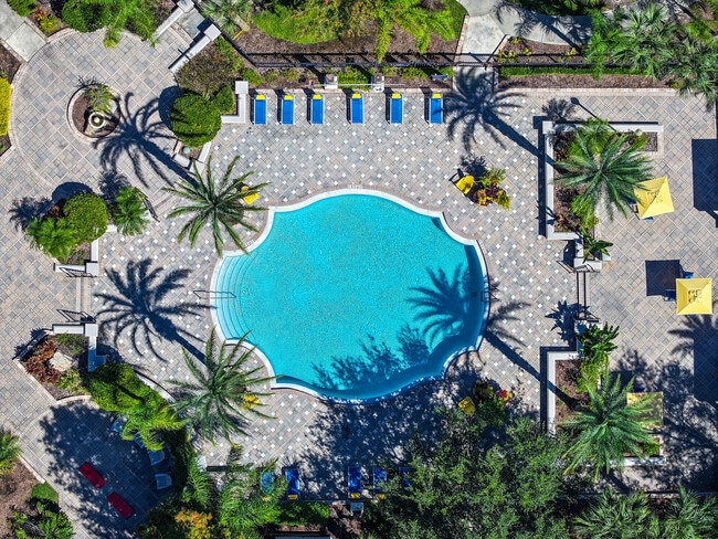 Grandewood Pointe in Orlando, FL - Building Photo - Building Photo