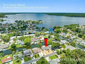 34 Citrus Dr in Palm Harbor, FL - Building Photo - Building Photo