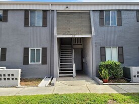 4020 Cortez Dr in Tampa, FL - Building Photo