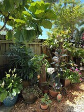 1423 Holly Heights Dr in Fort Lauderdale, FL - Building Photo - Building Photo