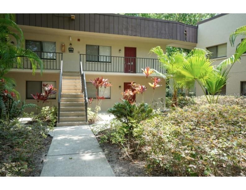 11713 Raintree Village Blvd in Temple Terrace, FL - Building Photo