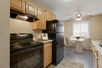 Northtown Village Apartments in Spring Lake Park, MN - Building Photo - Building Photo