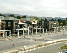 The Arbors in Rohnert Park, CA - Building Photo - Building Photo