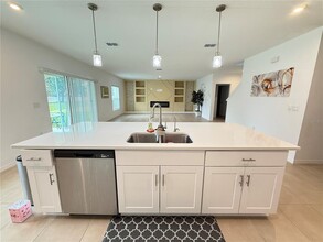 4803 Vellacito Way in Davenport, FL - Building Photo - Building Photo