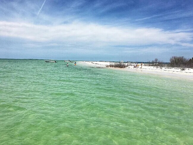 416 Windrush Bay Dr in Tarpon Springs, FL - Building Photo - Building Photo