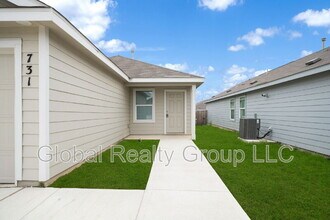 731 Bullsnake Trl in New Braunfels, TX - Building Photo - Building Photo