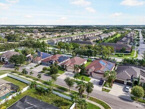 8522 White Poplar Dr in Riverview, FL - Building Photo - Building Photo