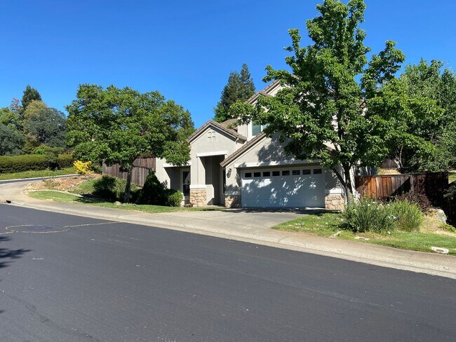 101 Freese Ct in Folsom, CA - Building Photo - Building Photo