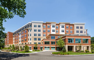 203 Ellery Ct, Unit 1 in Chestnut Hill, MA - Building Photo