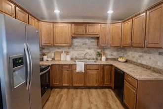 206 Henley Ln in Colorado Springs, CO - Building Photo - Building Photo