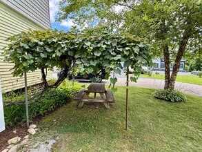 282 Highland Ave in Manchester, VT - Building Photo - Building Photo