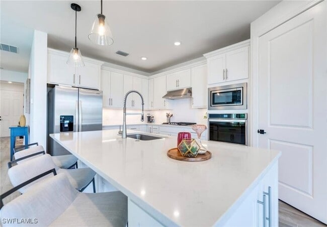 20419 Pebble Gln Dr in Estero, FL - Foto de edificio - Building Photo