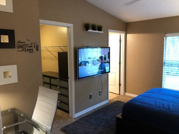 1165 Bryn Mawr Dr in Daytona Beach, FL - Building Photo - Building Photo