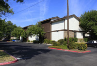 Brandywine Condominiums in Austin, TX - Foto de edificio - Building Photo