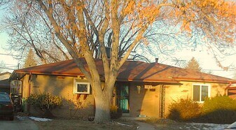 185 Emerald St in Broomfield, CO - Building Photo