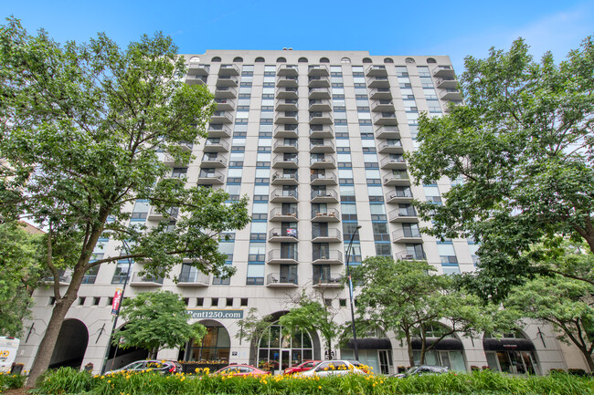 property at 1250 N La Salle Dr