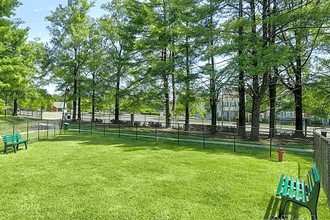 Waterford Tower in Silver Spring, MD - Building Photo - Building Photo