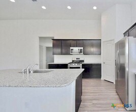 16829 Aventura Ave in Pflugerville, TX - Building Photo - Building Photo