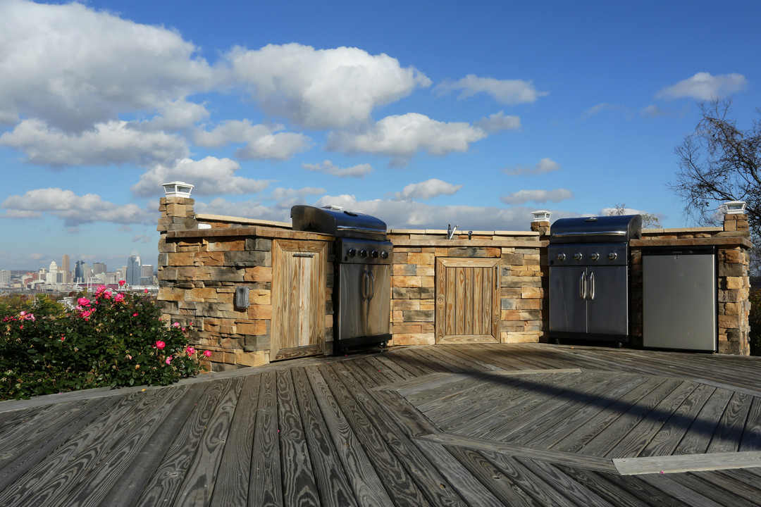 City View Apartments in Newport, KY - Building Photo