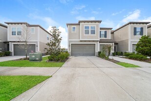 8077 Rolling Shell Trail in Wesley Chapel, FL - Building Photo