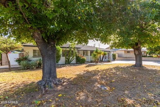 2035 S El Camino Dr, Unit 3 in Tempe, AZ - Building Photo - Building Photo