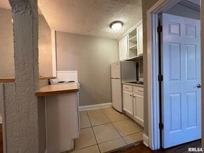 333 S Douglas Ave, Unit 3 in Springfield, IL - Foto de edificio - Building Photo