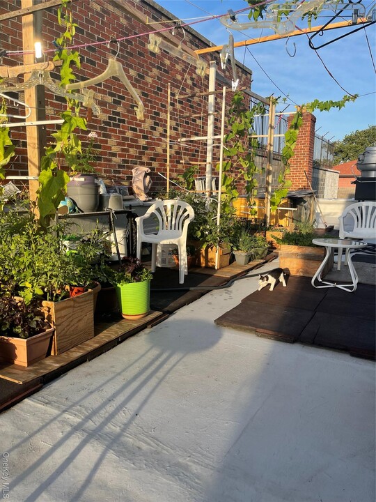 77-02-77164 164th St in Queens, NY - Building Photo