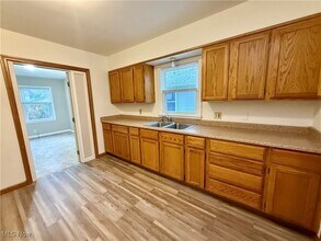 1253 Sevilla Ave in Akron, OH - Building Photo - Building Photo