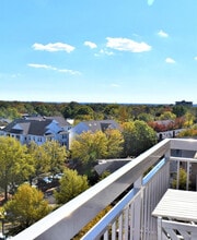 3830 9th St N, Unit Penthouse 4E in Arlington, VA - Building Photo - Building Photo