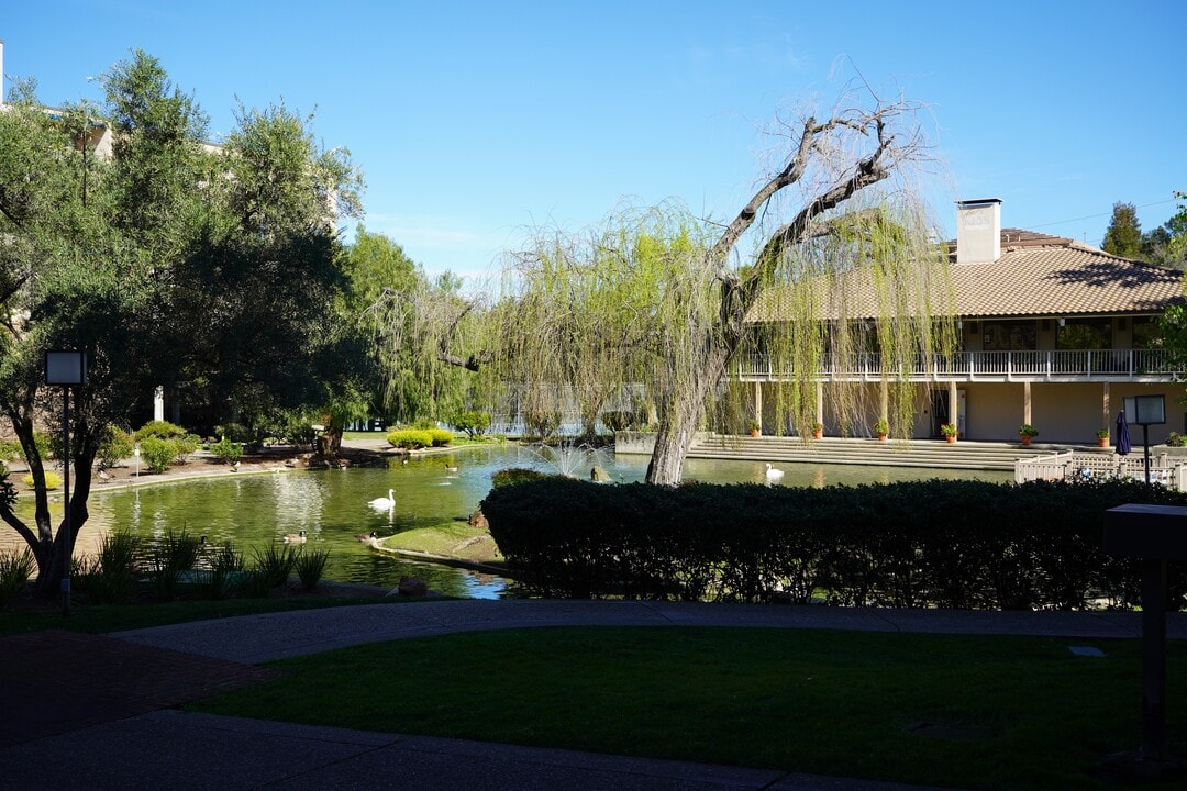 320 N Civic Dr, Unit #202 in Walnut Creek, CA - Foto de edificio