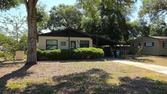 607 Patricia Ave in Fruitland Park, FL - Building Photo