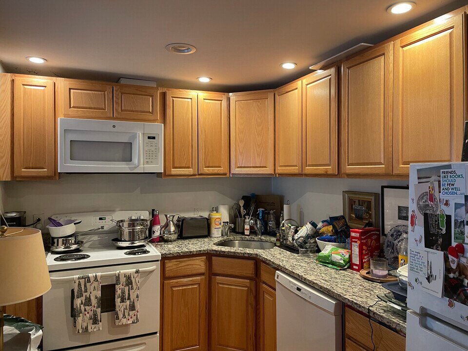 15 Euston St in Brookline, MA - Building Photo