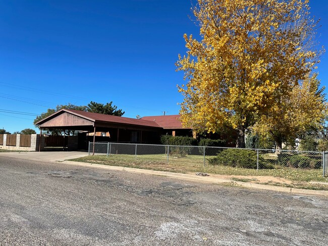 property at 1000 Cameo St