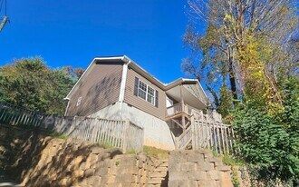 36 Delaware Ave in Asheville, NC - Building Photo