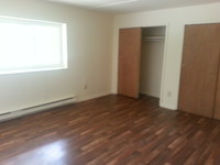 Pinetree Apartments photo'