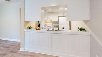 Chateau of Tampa in Tampa, FL - Building Photo - Building Photo