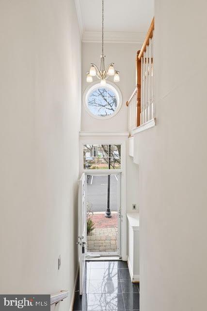 5113 Knapp Pl in Alexandria, VA - Building Photo - Building Photo