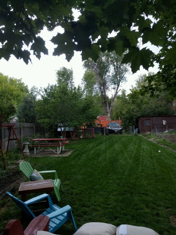 317 S Shields St in Fort Collins, CO - Building Photo - Building Photo