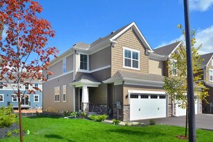 4311 Corn Silk Ln in Woodbury, MN - Building Photo