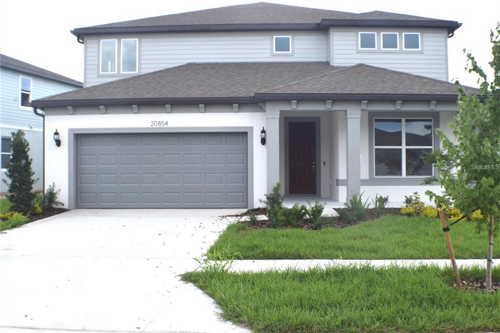 20854 Magnolia Crk Ln in Land O Lakes, FL - Building Photo