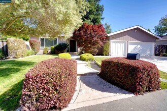135 St Patricks Dr in Danville, CA - Building Photo - Building Photo